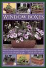 Image for Window boxes  : how to create stunning window displays to enjoy through the year, with 130 photographs