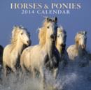 Image for Horses &amp; Ponies 2014 Calendar