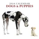 Image for Dogs &amp; Puppies 2014 Calendar