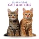 Image for Cats &amp; Kittens 2014 Calendar