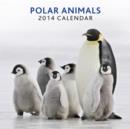 Image for Polar Animals 2014 Calendar