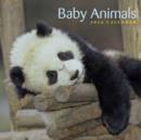 Image for Baby Animals 2014 Calendar