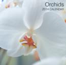 Image for Orchids 2014 Calendar