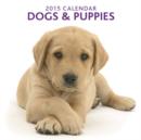 Image for 2015 Dogs &amp; Puppies Calendar