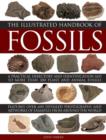 Image for The illustrated handbook of fossils  : a practical directory and identification aid to more than 300 plant and animal fossils
