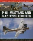 Image for P-51 Mustang and B-17 Flying Fortress  : an illustrated guide shown in over 100 images