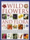 Image for Wild flowers and flora  : an illustrated identifier and encyclopedia