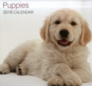 Image for Puppies 2016