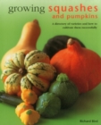 Image for Growing squashes and pumpkins  : a directory of varieties and how to cultivate them succesfully