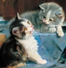 Image for Memo Block: Kittens