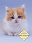 Image for Sketchbook: Kitten