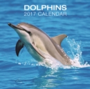 Image for Dolphins Calendar 2017