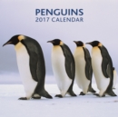 Image for Penguins 2017 Calendar