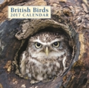 Image for British Birds 2017 Calendar