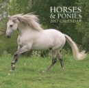 Image for Horses &amp; Ponies Calendar 2017