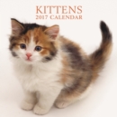 Image for 2017 Calendar: Kittens