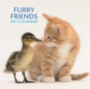 Image for 2017 Calendar: Furry Friends
