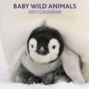 Image for 2017 Calendar: Baby Wild Animals