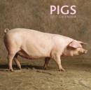 Image for 2017 Calendar: Pigs