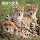 Image for 2017 Calendar: Big Cats