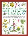 Image for The world encyclopedia of wild flowers and flora  : a reference and identification guide to 1730 of the most significant wild plants