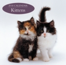 Image for 2018 Calendar: Kittens