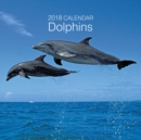 Image for 2018 Calendar: Dolphins