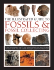 Image for The illustrated guide to fossils &amp; fossil collecting  : a visual encyclopedia of over 375 plant and animal fossils from around the globe and how to identify them, with over 950 photographs and artwor