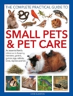 Image for The complete practical guide to small pets &amp; pet care  : an essential family reference to keeping hamsters, gerbils, guinea pigs, rabbits, birds, reptiles and fish