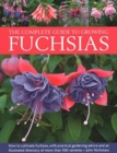 Image for Fuchsias, The Complete Guide to Growing : How to cultivate fuchsias with practical gardening advice and an illustrated directory of 500 varieties