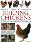 Image for Keeping Chickens, Complete Practical Guide to : Rearing; Care; Choosing Your Breed: A directory of chickens, ducks, geese and turkeys, and how to keep them, with over 700 photographs