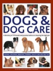 Image for Dogs &amp; dog care  : a directory of 175 breeds and practical advice on choosing the right pet feeding, grooming, breeding, training, health care and first aid