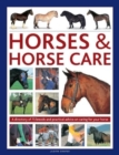 Image for Horses &amp; horse care  : a directory of 80 breeds and practical advice on caring for your horse