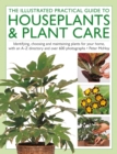 Image for The Illustrated Practical Guide to Houseplants &amp; Plant Care