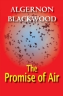Image for The Promise Of Air