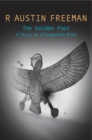 Image for The golden pool: a story of a forgotten mine