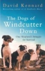 Image for The dogs of Windcutter Down  : one shepherd&#39;s struggle for survival