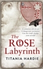 Image for The rose labyrinth