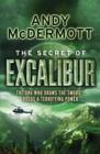 Image for The Secret of Excalibur