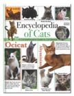 Image for Encyclopedia of cats