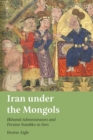 Image for Iran under the Mongols