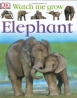Image for ELEPHANT