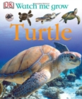 Image for WATCH ME GROW TURTLE