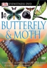 Image for Eyewitness DVD: Butterfly and Moth