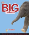 Image for Big Babies, Little Babies