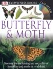 Image for DK Eyewitness Books: Butterfly and Moth : Discover the Enchanting and Secret Life of Butterflies and Moths in Vivid Detail