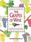 Image for Grapes of Wine
