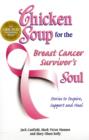 Image for Chicken Soup for the Breast Cancer Survivor&#39;s Soul