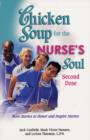 Image for Chicken soup for the nurse&#39;s soul  : second dose