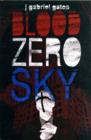Image for Blood Zero Sky
